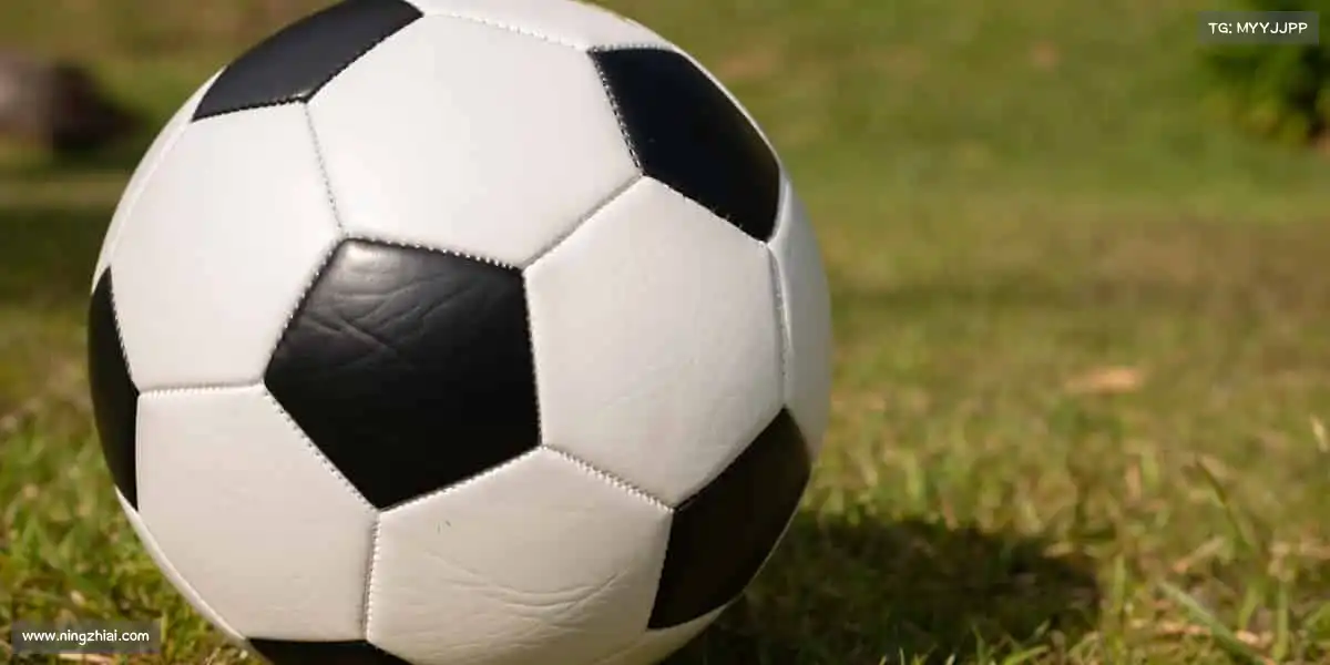 我们的核心竞争力